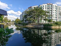The Sunny Spring (D14), Apartment #559455551